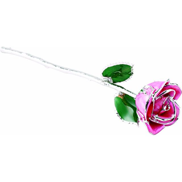 Pink Rose with Platinum Trim