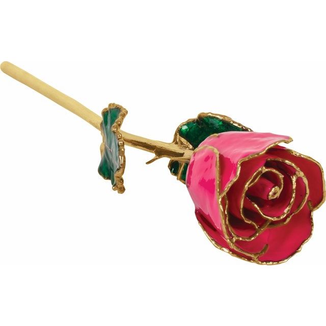 Magenta Rose with 24k Gold Trim