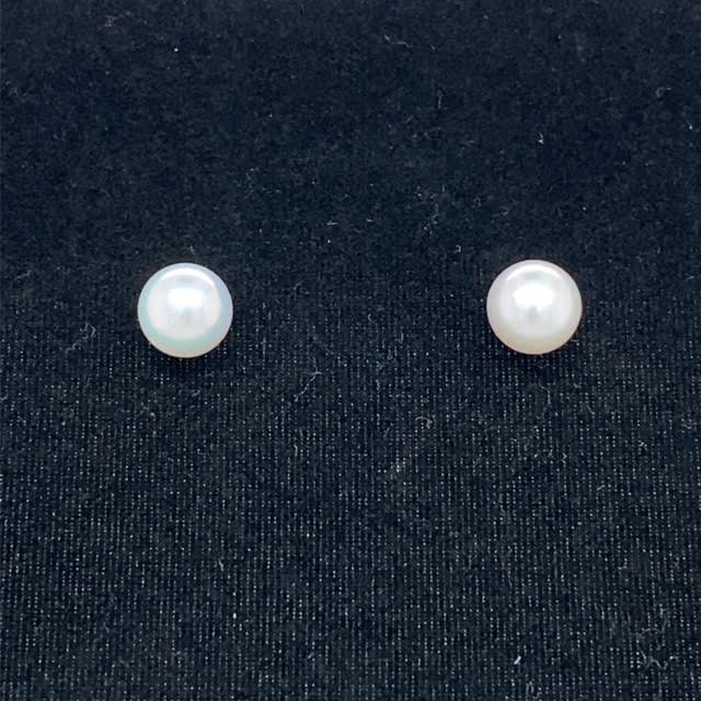 14k Yellow Gold Akoya Pearl Earrings