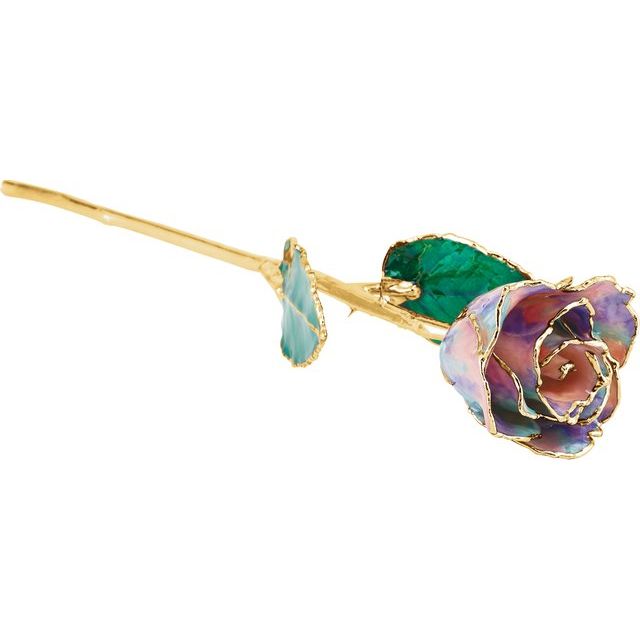 "Opal" Rose with 24k Gold Trim