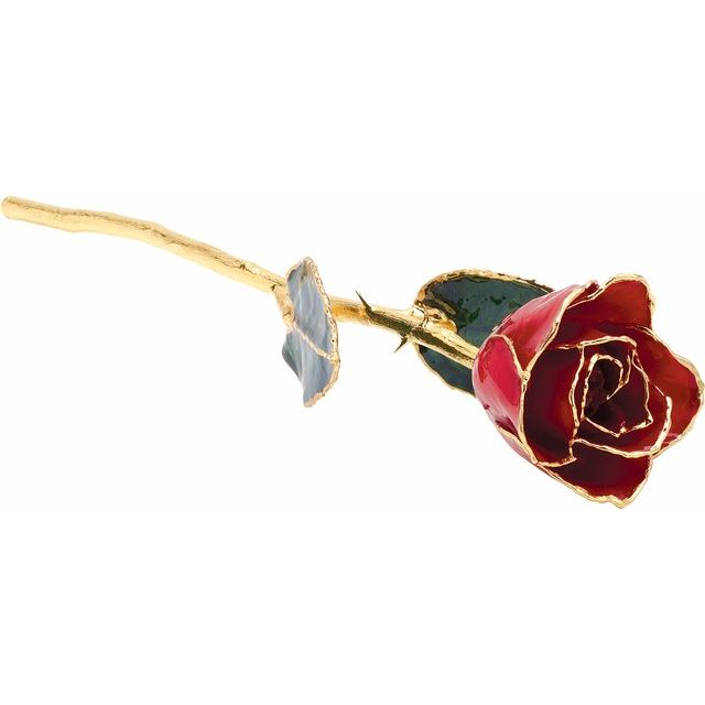 24k Gold Rose - Red