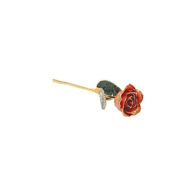 Orange Rose with 24k Gold Trim