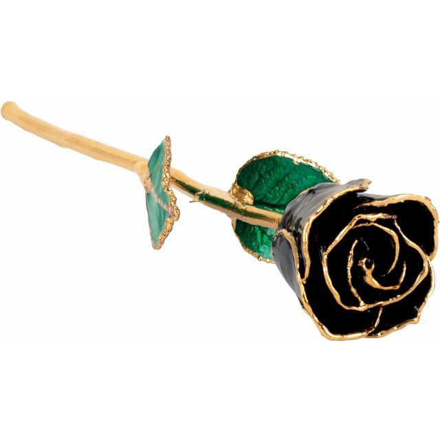 Black Rose with 24k Gold Trim